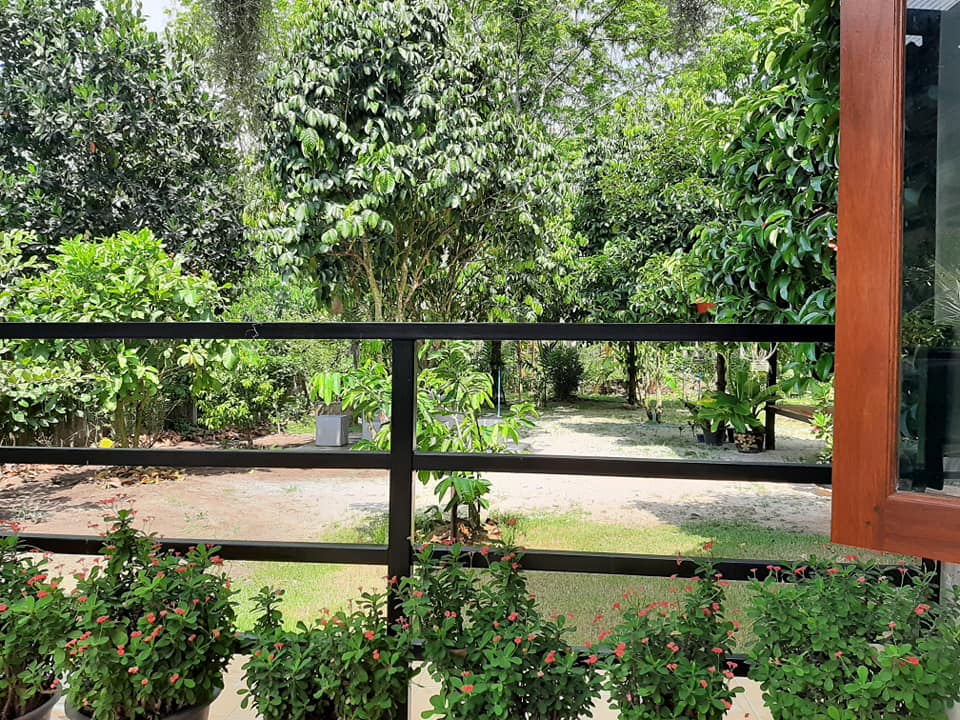 พาชมไอเดียจัดบ้านแต่งสวน เอาไว้ปรับใช้กับบ้านและสวนของคุณ