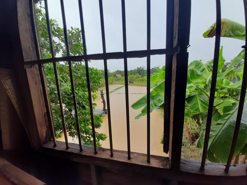 ฟาร์มปลูกสุข บรรยากาศตอนฝนตก