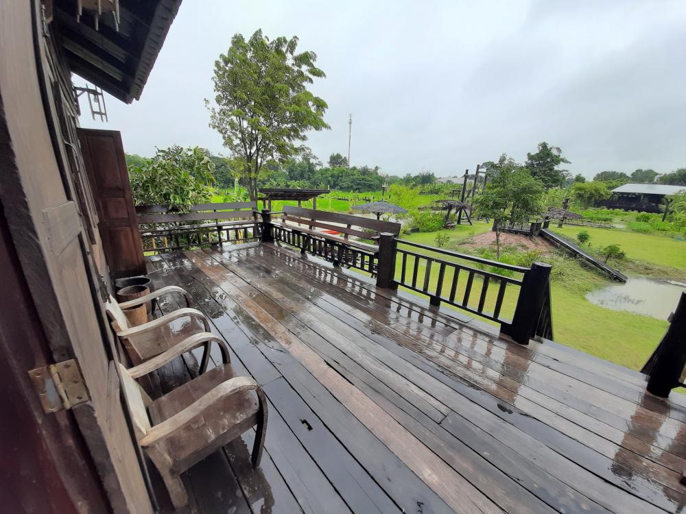 ฟาร์มปลูกสุข บรรยากาศตอนฝนตก