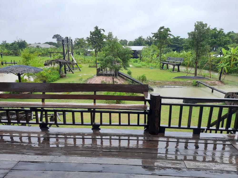 ฟาร์มปลูกสุข บรรยากาศตอนฝนตก