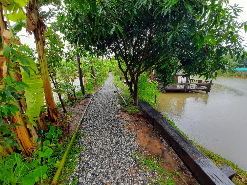 ฟาร์มปลูกสุข บรรยากาศตอนฝนตก