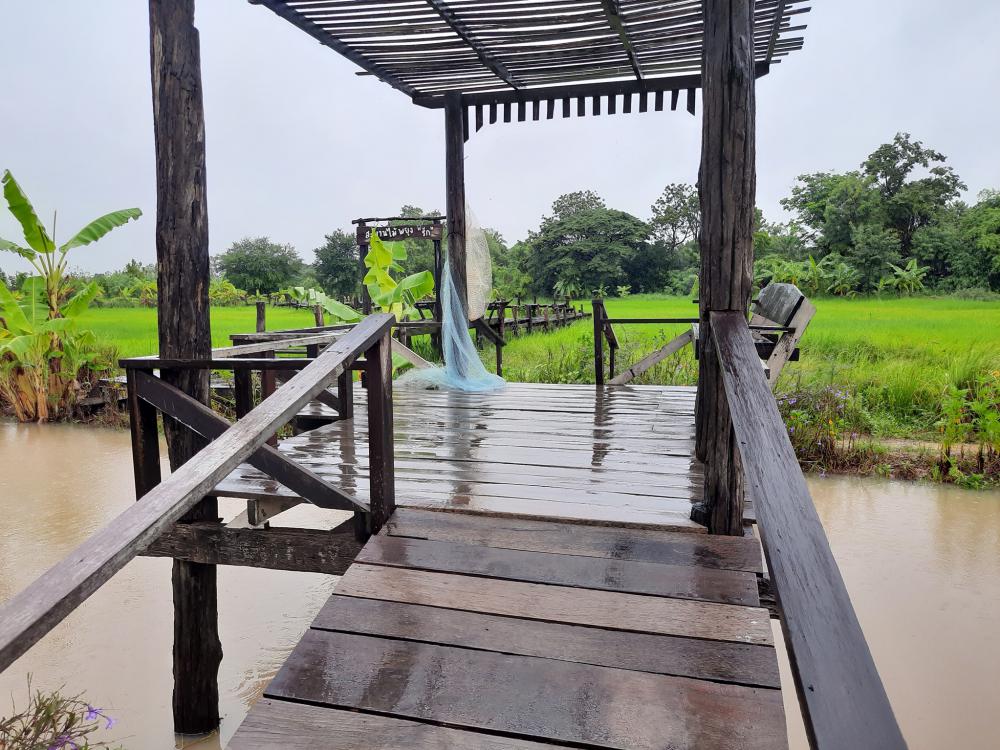 ฟาร์มปลูกสุข บรรยากาศตอนฝนตก