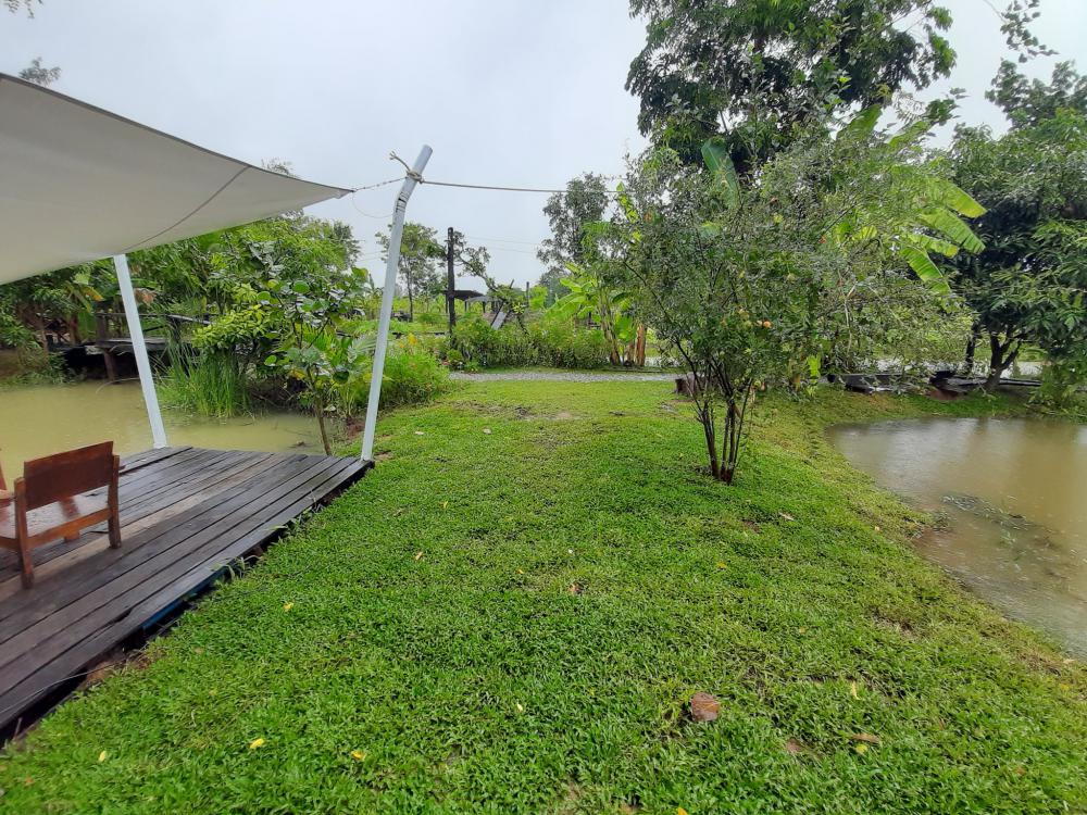 ฟาร์มปลูกสุข บรรยากาศตอนฝนตก