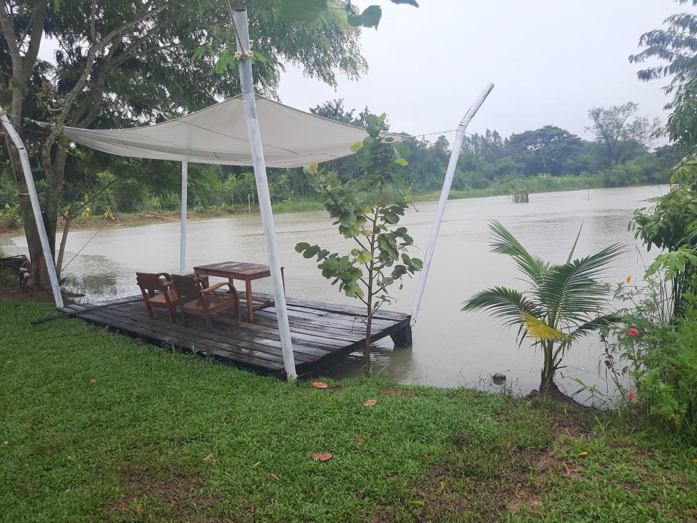 ฟาร์มปลูกสุข บรรยากาศตอนฝนตก