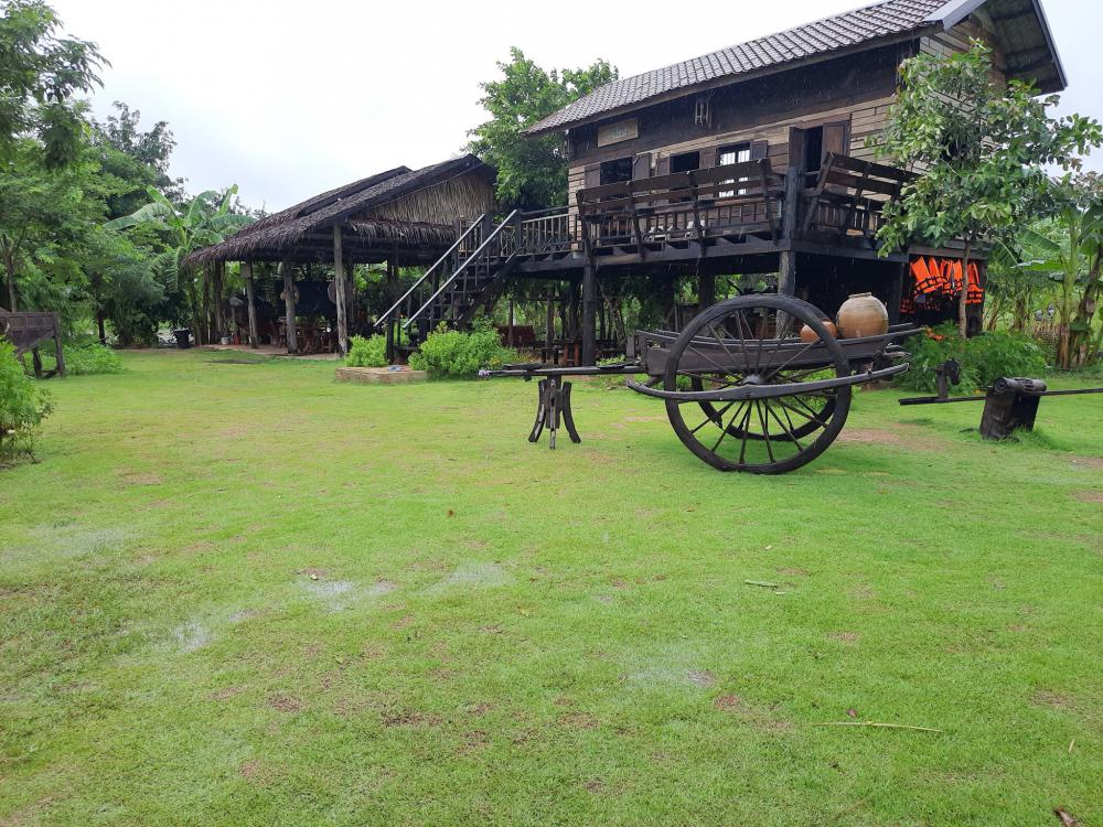 ฟาร์มปลูกสุข บรรยากาศตอนฝนตก