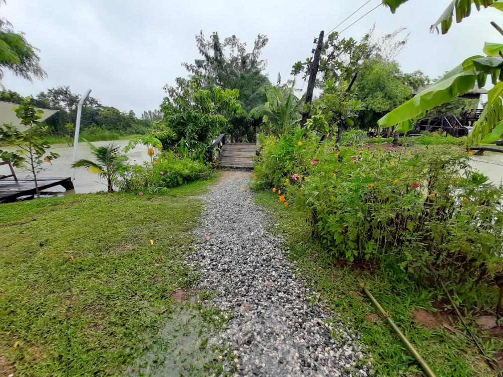 ฟาร์มปลูกสุข บรรยากาศตอนฝนตก