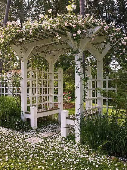 ไอเดียซุ้มไม้เลื้อย