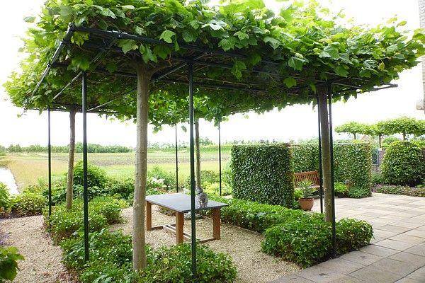 ไอเดียซุ้มไม้เลื้อย