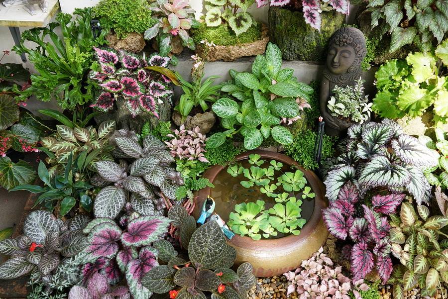 ไอเดียตกแต่งสวนและพื้นที่รอบบ้าน ให้ร่มรื่นน่าพักผ่อน