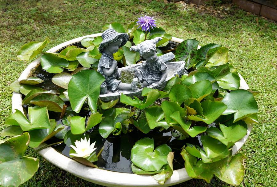 ไอเดียตกแต่งสวนและพื้นที่รอบบ้าน ให้ร่มรื่นน่าพักผ่อน