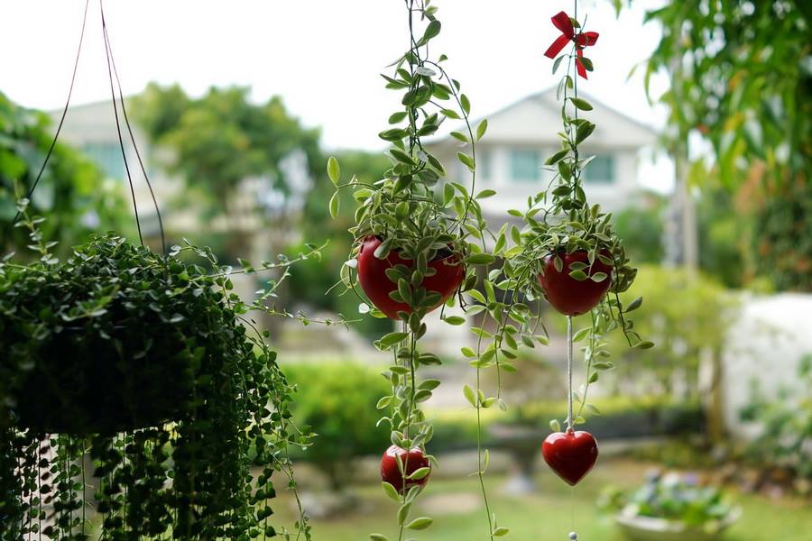 ไอเดียตกแต่งสวนและพื้นที่รอบบ้าน ให้ร่มรื่นน่าพักผ่อน