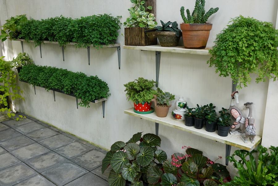 ไอเดียตกแต่งสวนและพื้นที่รอบบ้าน ให้ร่มรื่นน่าพักผ่อน