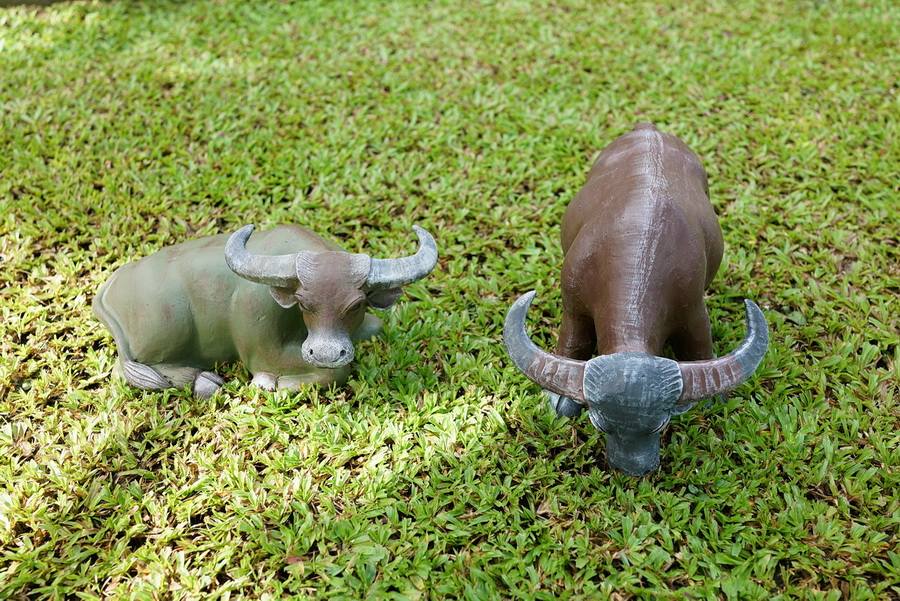 ไอเดียตกแต่งสวนและพื้นที่รอบบ้าน ให้ร่มรื่นน่าพักผ่อน