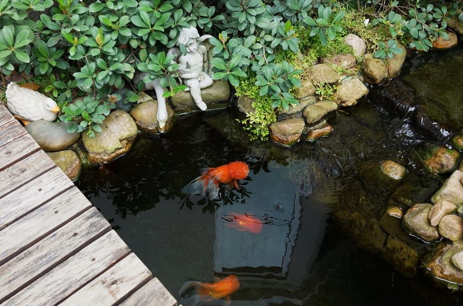 ไอเดียตกแต่งสวนและพื้นที่รอบบ้าน ให้ร่มรื่นน่าพักผ่อน