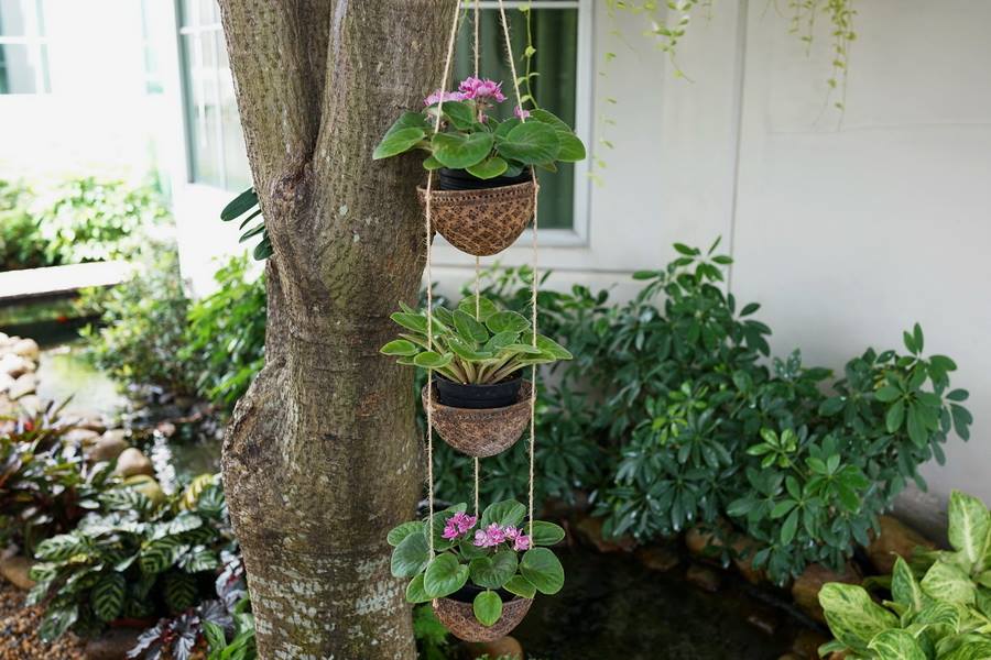 ไอเดียตกแต่งสวนและพื้นที่รอบบ้าน ให้ร่มรื่นน่าพักผ่อน