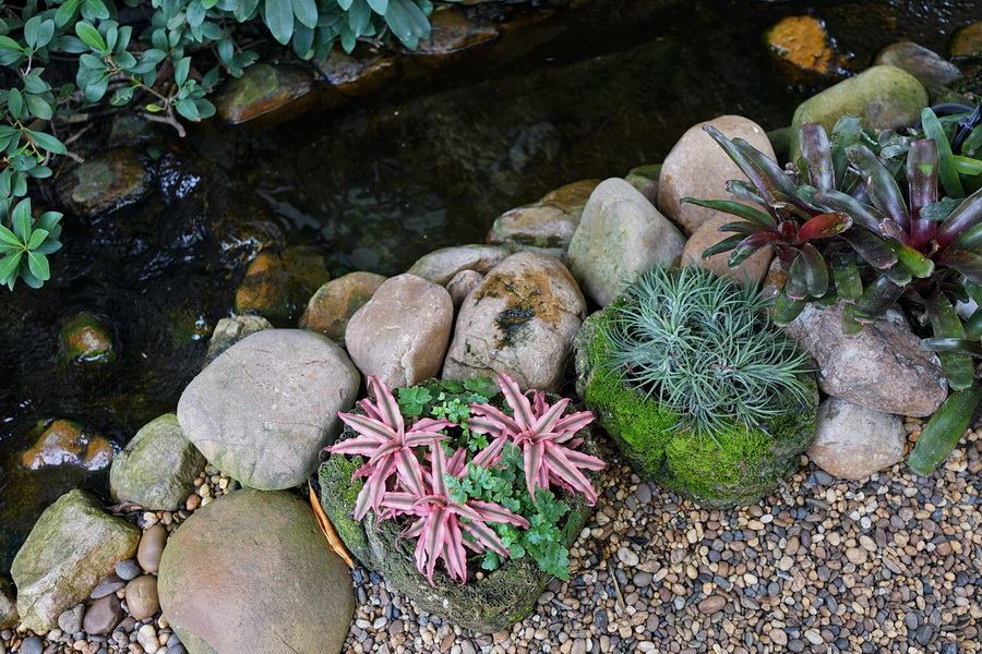 ไอเดียตกแต่งสวนและพื้นที่รอบบ้าน ให้ร่มรื่นน่าพักผ่อน