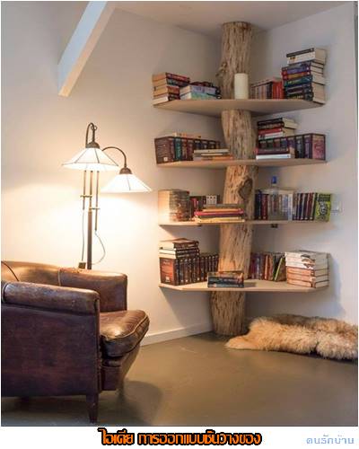 ไอเดียชั้นวางของ