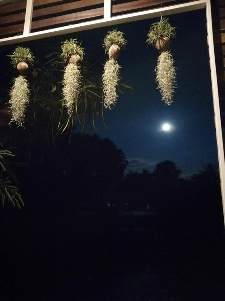 บ้านสวนกับบรรยากาศสุขสบาย