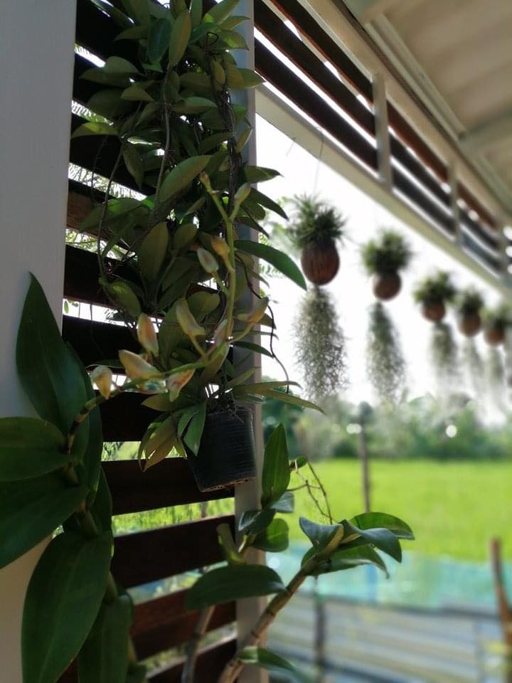 บ้านสวนกับบรรยากาศสุขสบาย