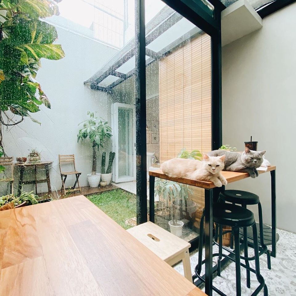 ไอเดียห้องครัวเล็กพร้อมสวนข้างบ้าน