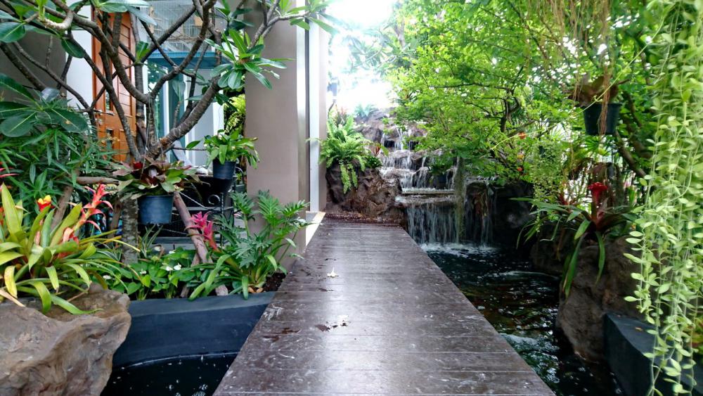 ไอเดีย จัดสวนน้ำตก