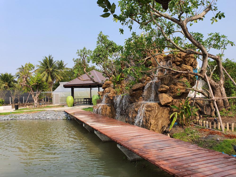 ไอเดีย จัดสวนน้ำตก