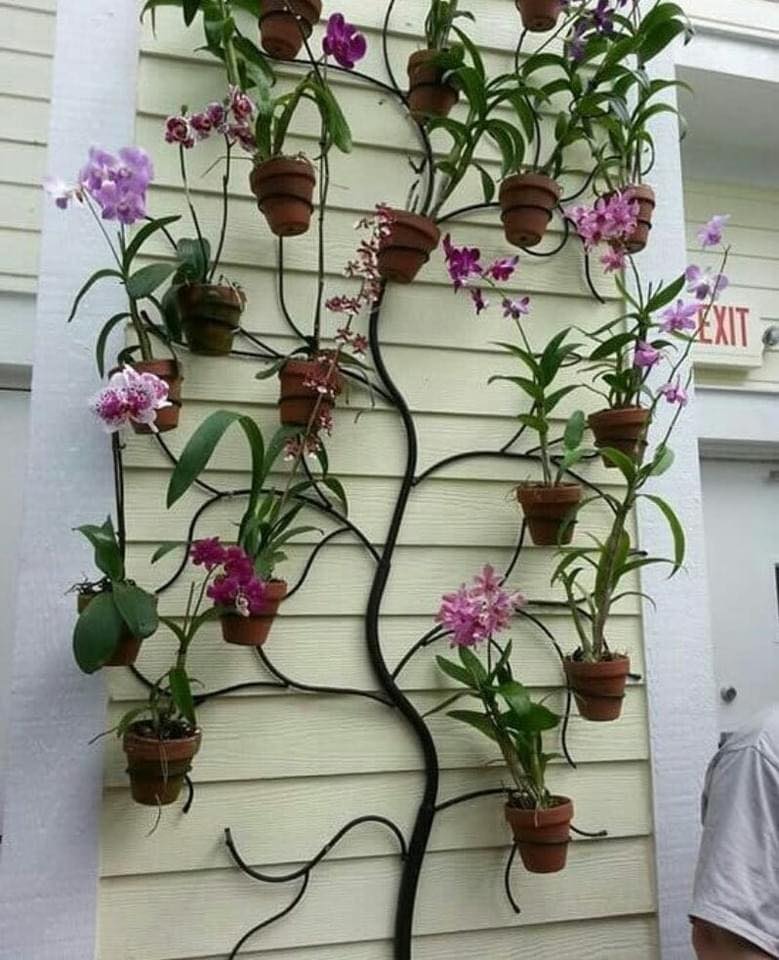 ไอเดีย การออกแบบทางเดินสวยๆ และจัดสวนหย่อม