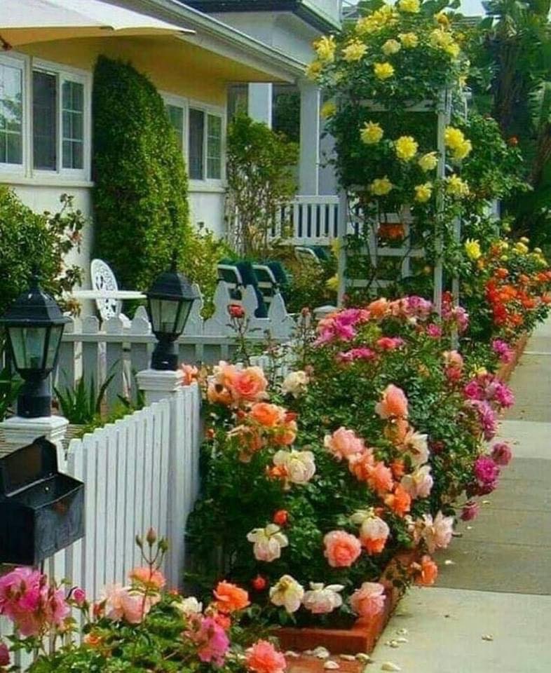 ไอเดีย การออกแบบทางเดินสวยๆ และจัดสวนหย่อม