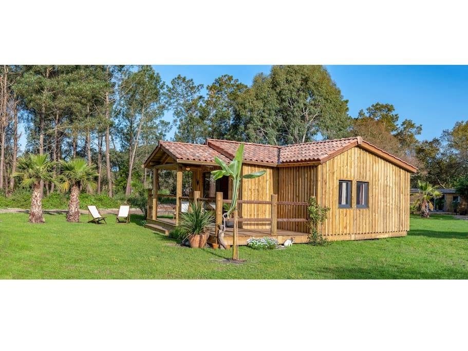 แบบบ้านไม้ชั้นเดียวหลังเล็ก บรรยากาศอบอุ่น พื้นที่ 38 ตารางเมตร