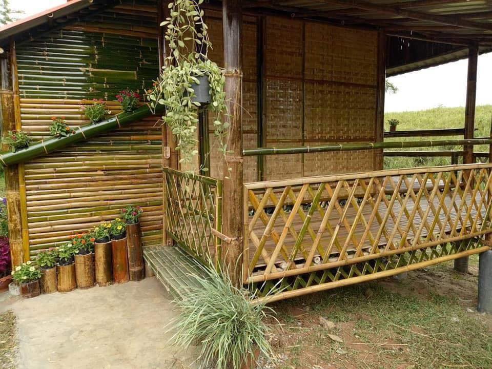 ไอเดีย บ้านไม้ไผ่