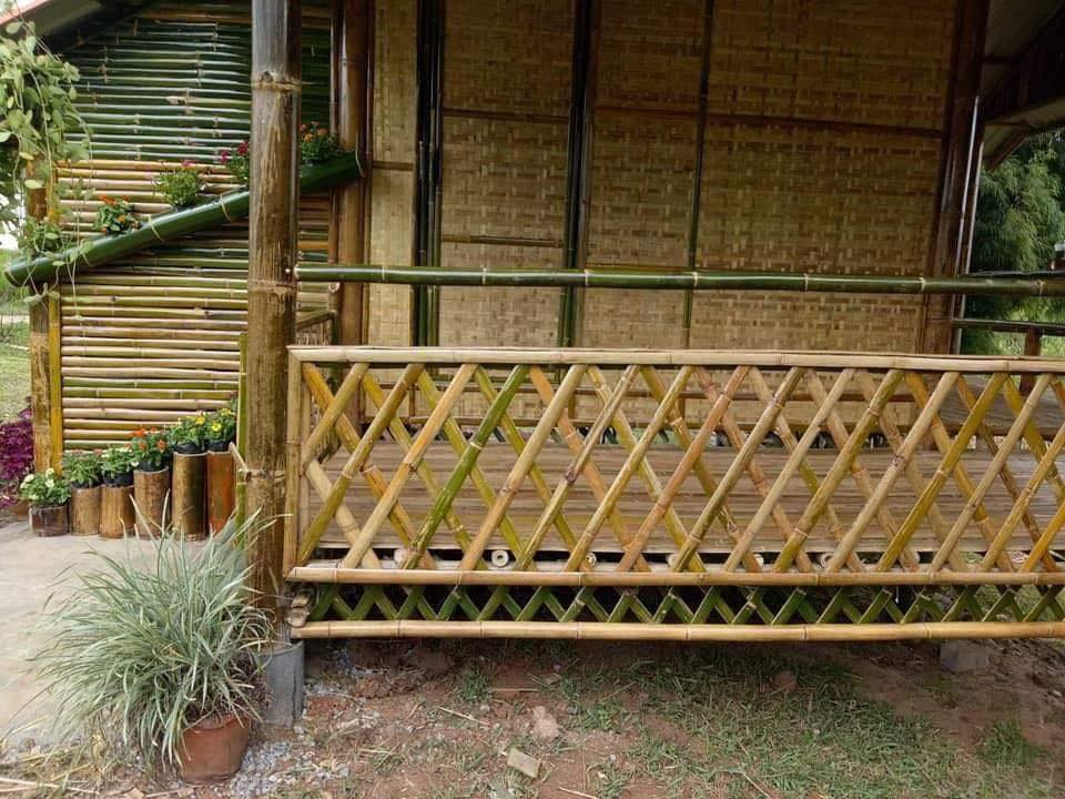 ไอเดีย บ้านไม้ไผ่