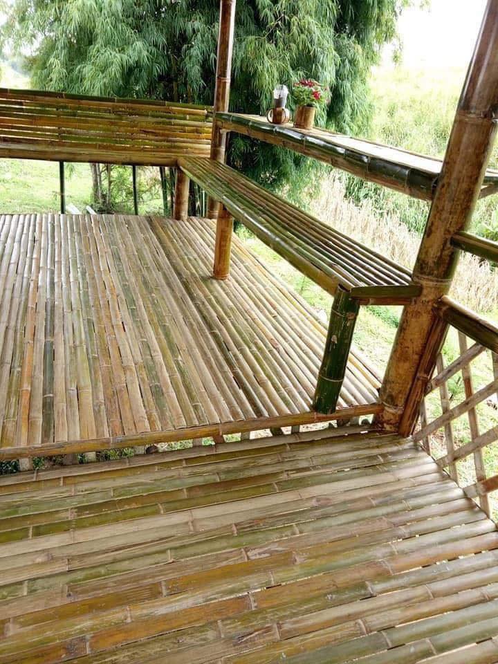 ไอเดีย บ้านไม้ไผ่