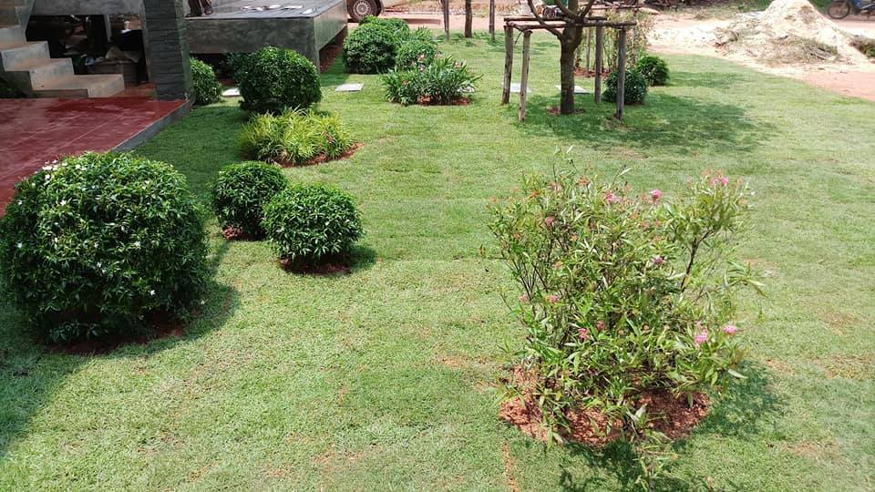 บ้าน 2 ชั้นเล่นระดับ ผนังปูนเปลือย