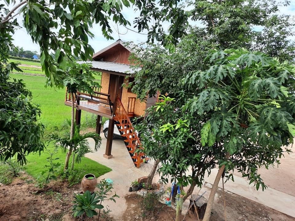 บ้านไม้ปลายนา ขนาดกะทัดรัด น่าอยู่มา