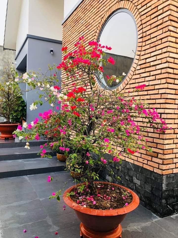 ไอเดียบ้านชั้นเดียว สวยกระทัดรัด น่าอยู่