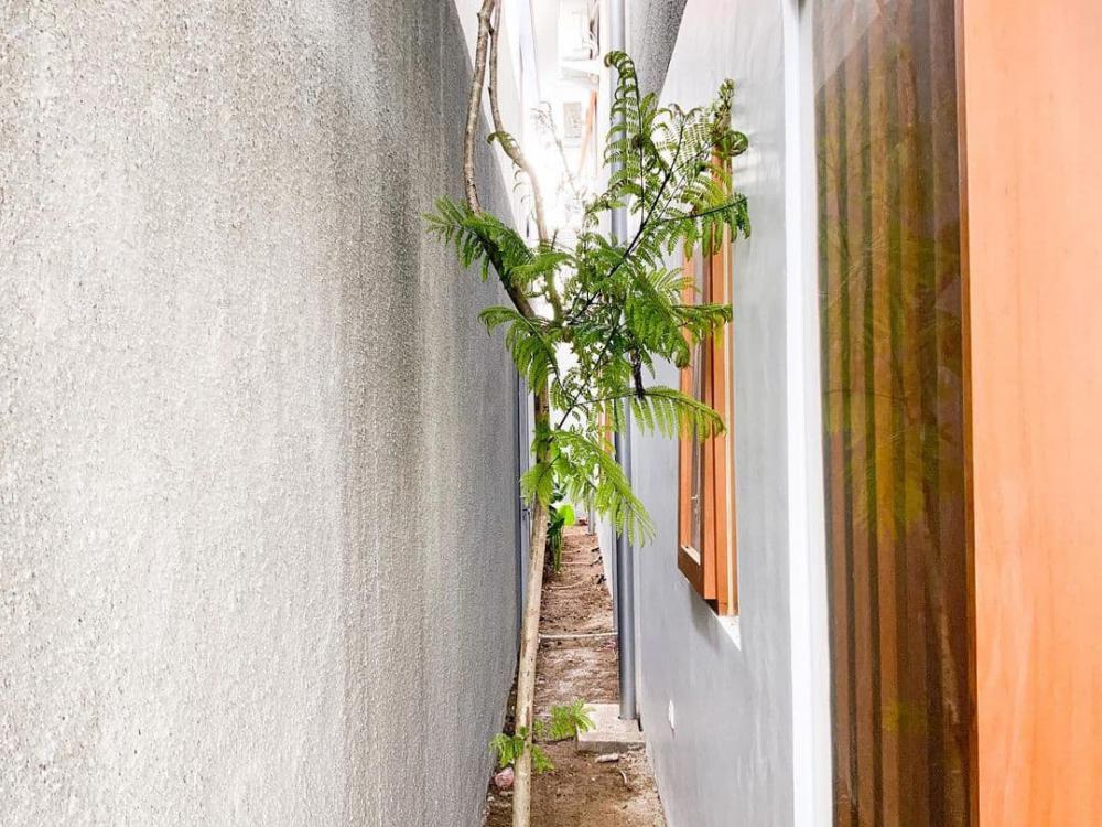 ไอเดียบ้าน 2 ชั้น หน้าแคบ