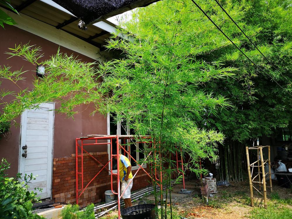 พื้นที่ 5 ไร่ จัดสรรพื้นที่เป็นสัดส่วน ภายใต้ปรัชญาเศรษฐกิจพอเพียง