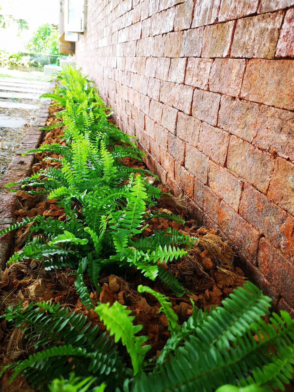 พื้นที่ 5 ไร่ จัดสรรพื้นที่เป็นสัดส่วน ภายใต้ปรัชญาเศรษฐกิจพอเพียง