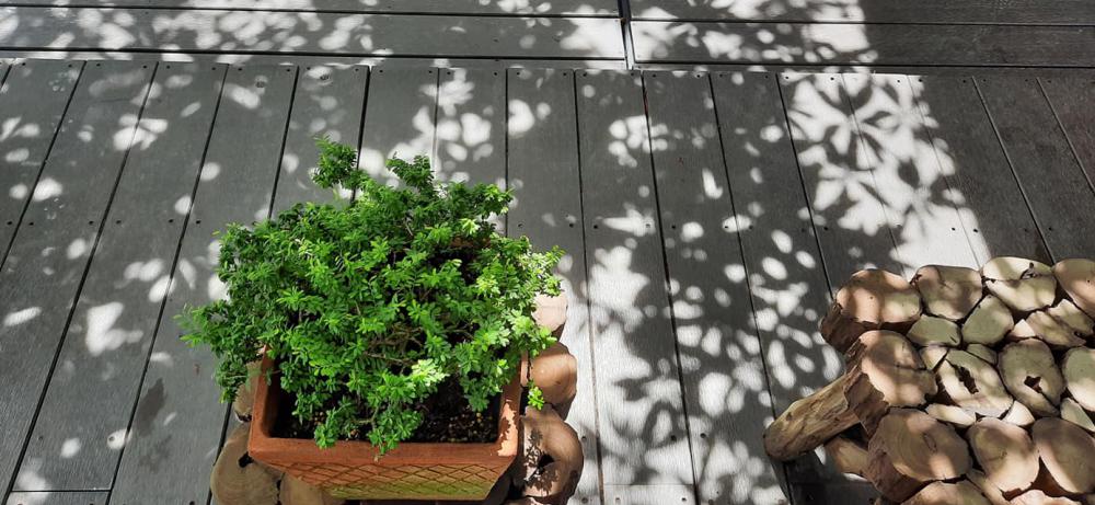 แต่งบ้านให้เหมือนร้านกาแฟ