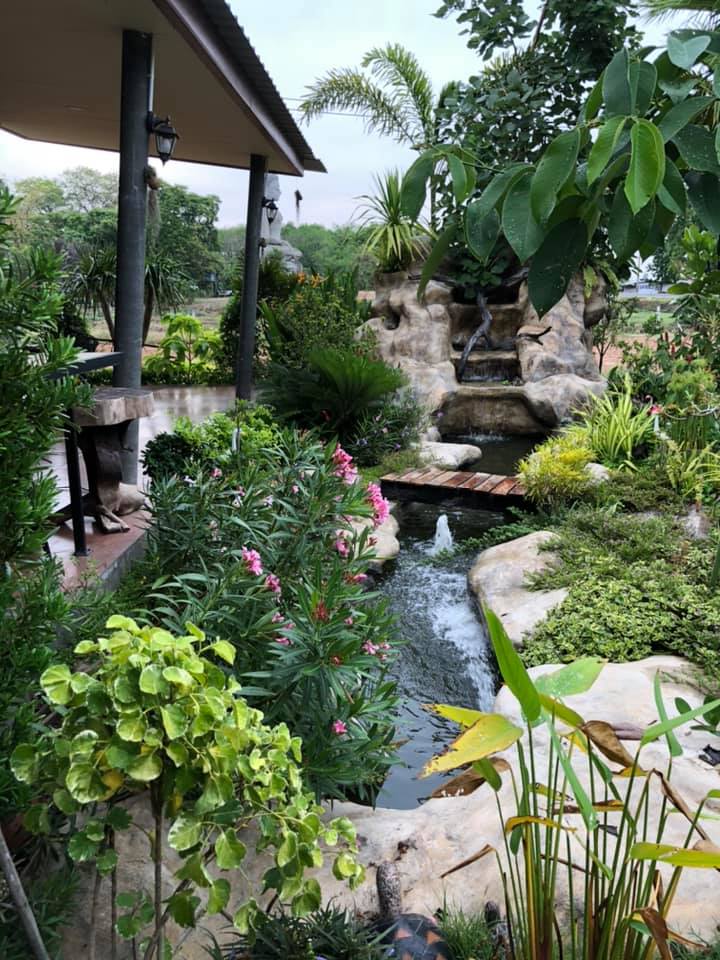 แต่งบ้านให้สวนอยู่ในตัวบ้าน ธรรมชาติ