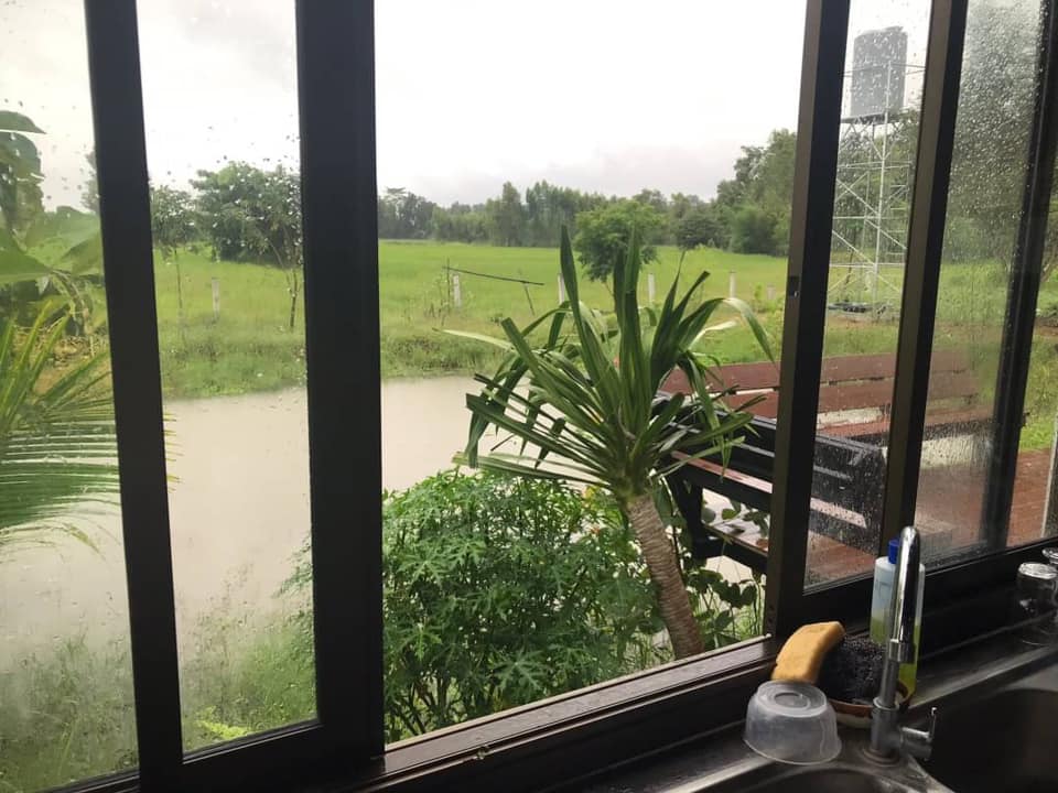 แต่งบ้านให้สวนอยู่ในตัวบ้าน ธรรมชาติ