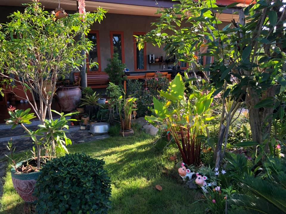 แต่งบ้านให้สวนอยู่ในตัวบ้าน ธรรมชาติ