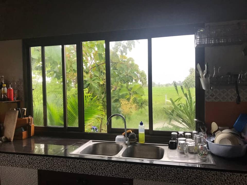 แต่งบ้านให้สวนอยู่ในตัวบ้าน ธรรมชาติ