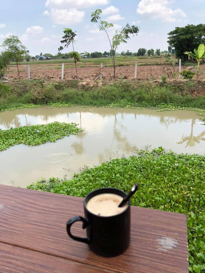 แต่งบ้านให้สวนอยู่ในตัวบ้าน ธรรมชาติ