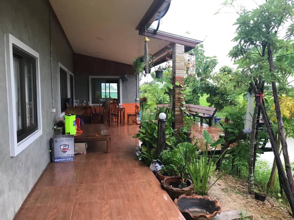 แต่งบ้านให้สวนอยู่ในตัวบ้าน ธรรมชาติ