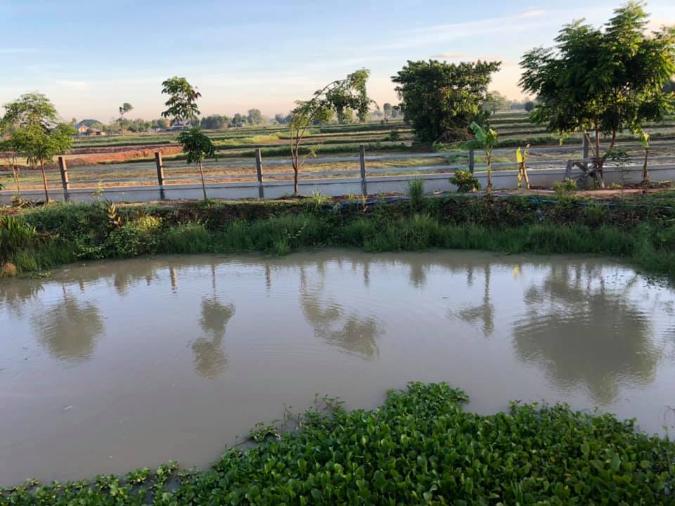 แต่งบ้านให้สวนอยู่ในตัวบ้าน ธรรมชาติ