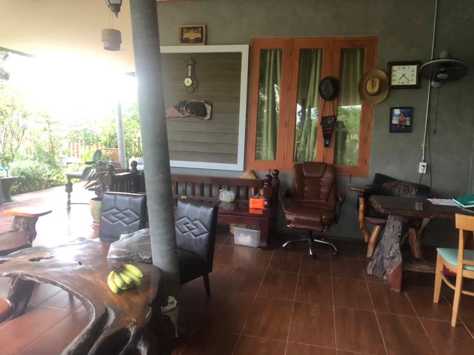 แต่งบ้านให้สวนอยู่ในตัวบ้าน ธรรมชาติ