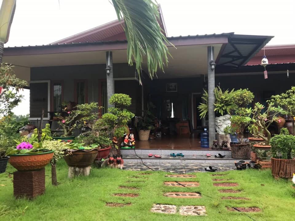 แต่งบ้านให้สวนอยู่ในตัวบ้าน ธรรมชาติ