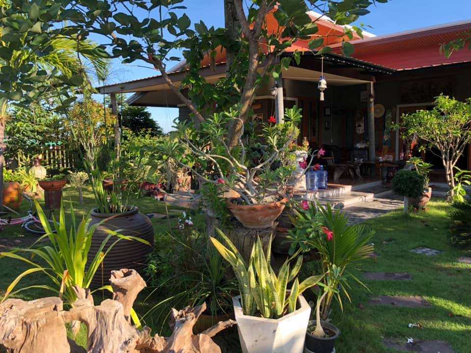 แต่งบ้านให้สวนอยู่ในตัวบ้าน ธรรมชาติ