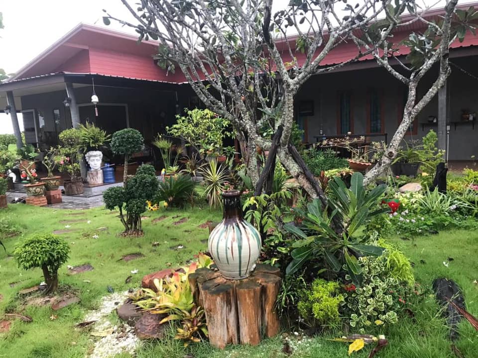 แต่งบ้านให้สวนอยู่ในตัวบ้าน ธรรมชาติ